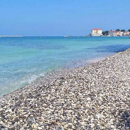 Away From Apartament *